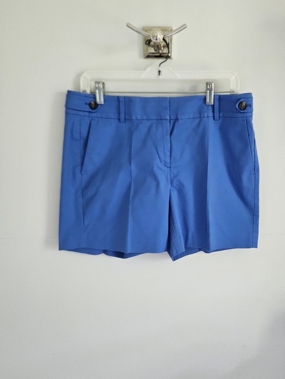 Ann Taylor Blue Shorts